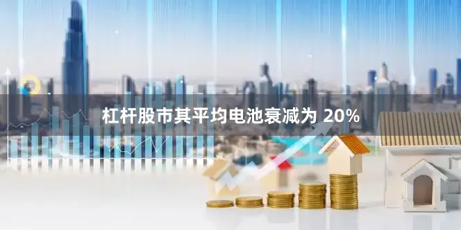 杠杆股市其平均电池衰减为 20%