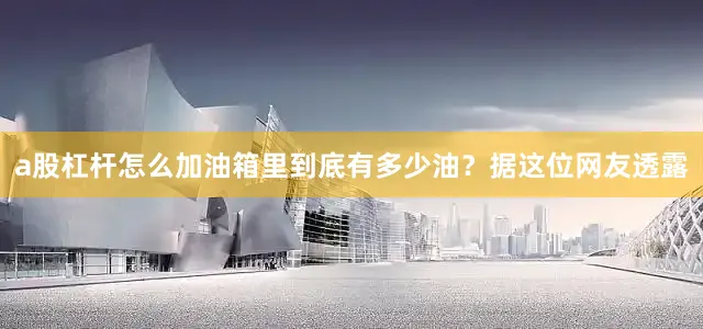 a股杠杆怎么加油箱里到底有多少油？据这位网友透露