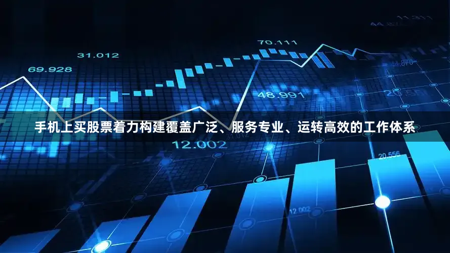 手机上买股票着力构建覆盖广泛、服务专业、运转高效的工作体系
