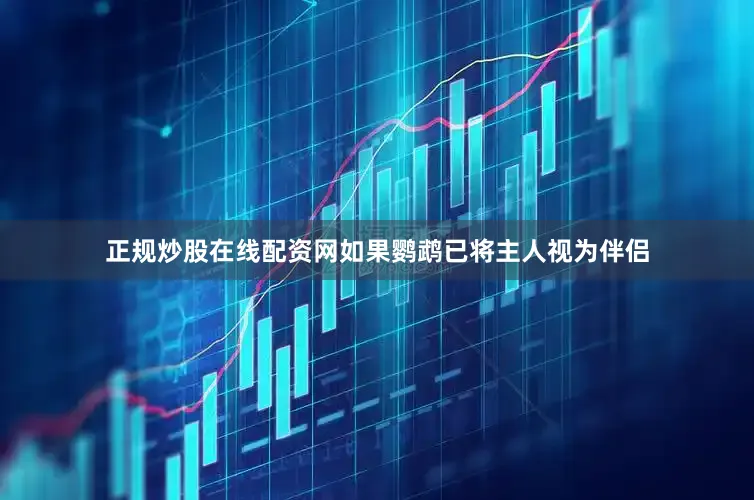 正规炒股在线配资网如果鹦鹉已将主人视为伴侣