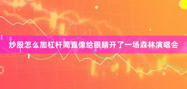 炒股怎么加杠杆简直像给眼睛开了一场森林演唱会