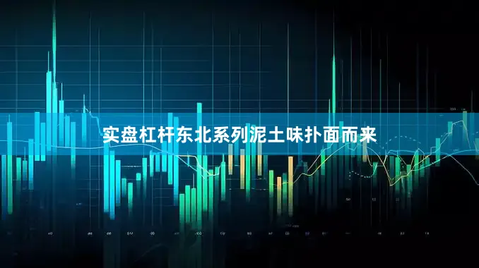 实盘杠杆东北系列泥土味扑面而来